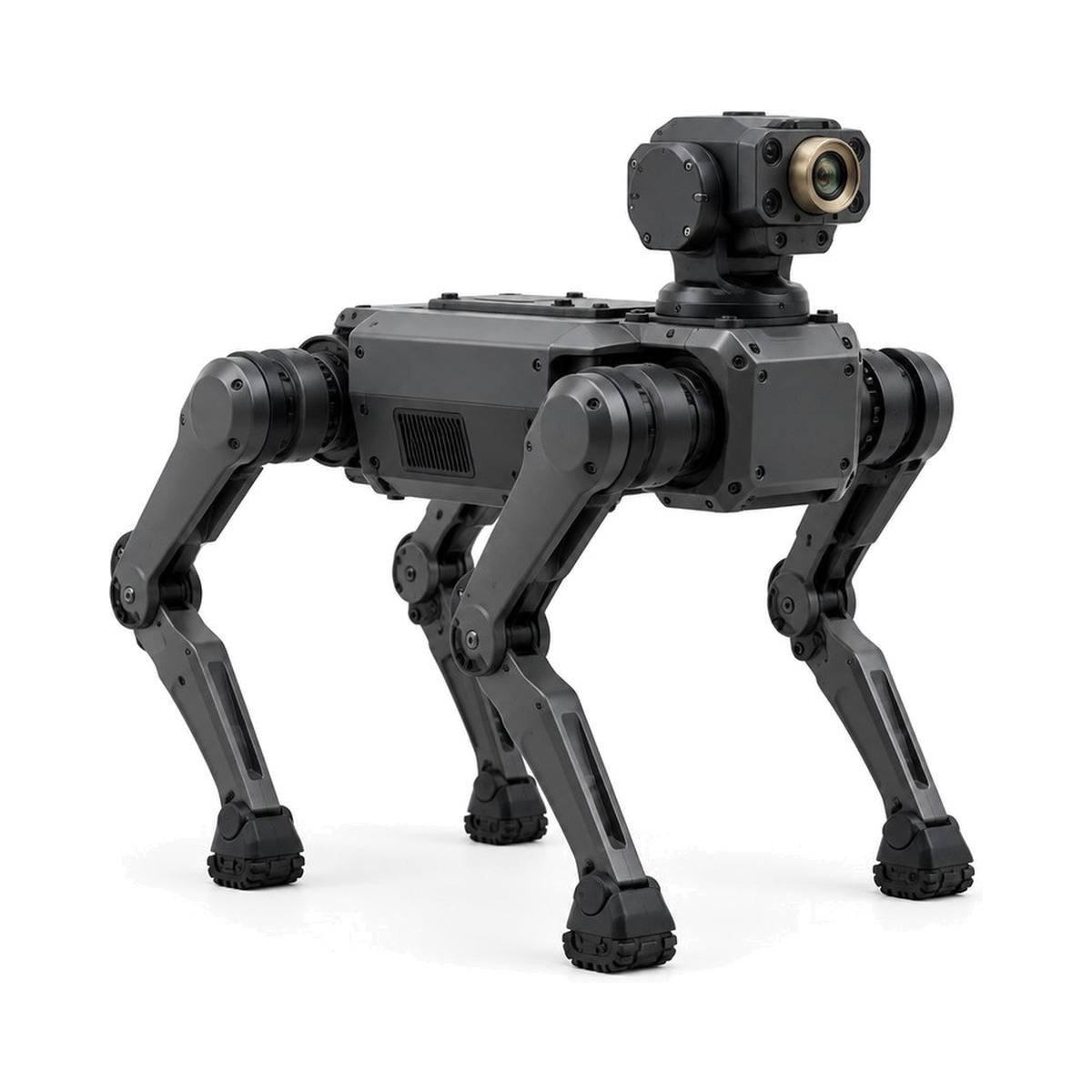 Vision 60 tactical quadruped by Ghost Robotics