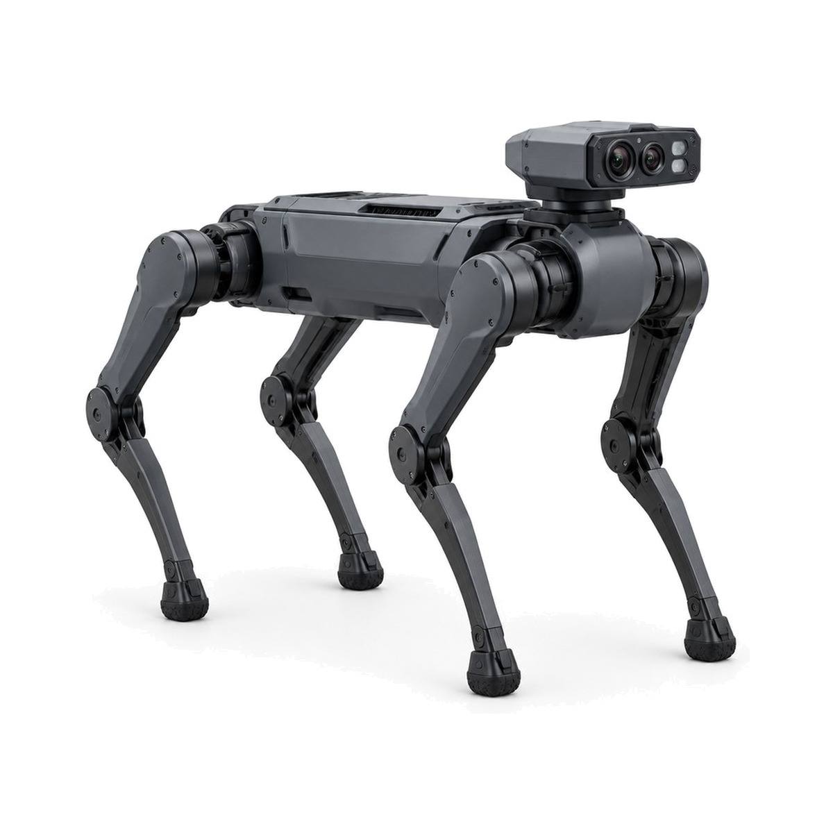 X30 industrial quadruped by DEEP Robotics